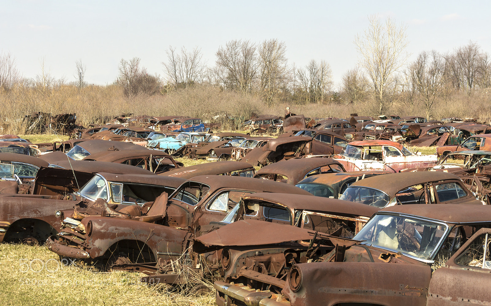 Canon EOS 60D sample photo. Automobile graveyard photography
