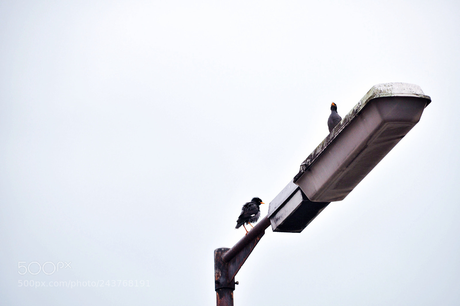 Nikon D5000 sample photo. Untitled photography