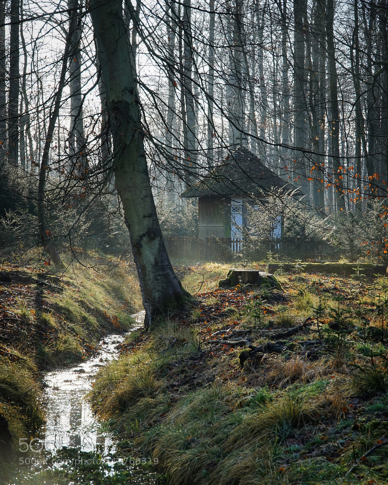 Sony a7R sample photo. Untitled photography