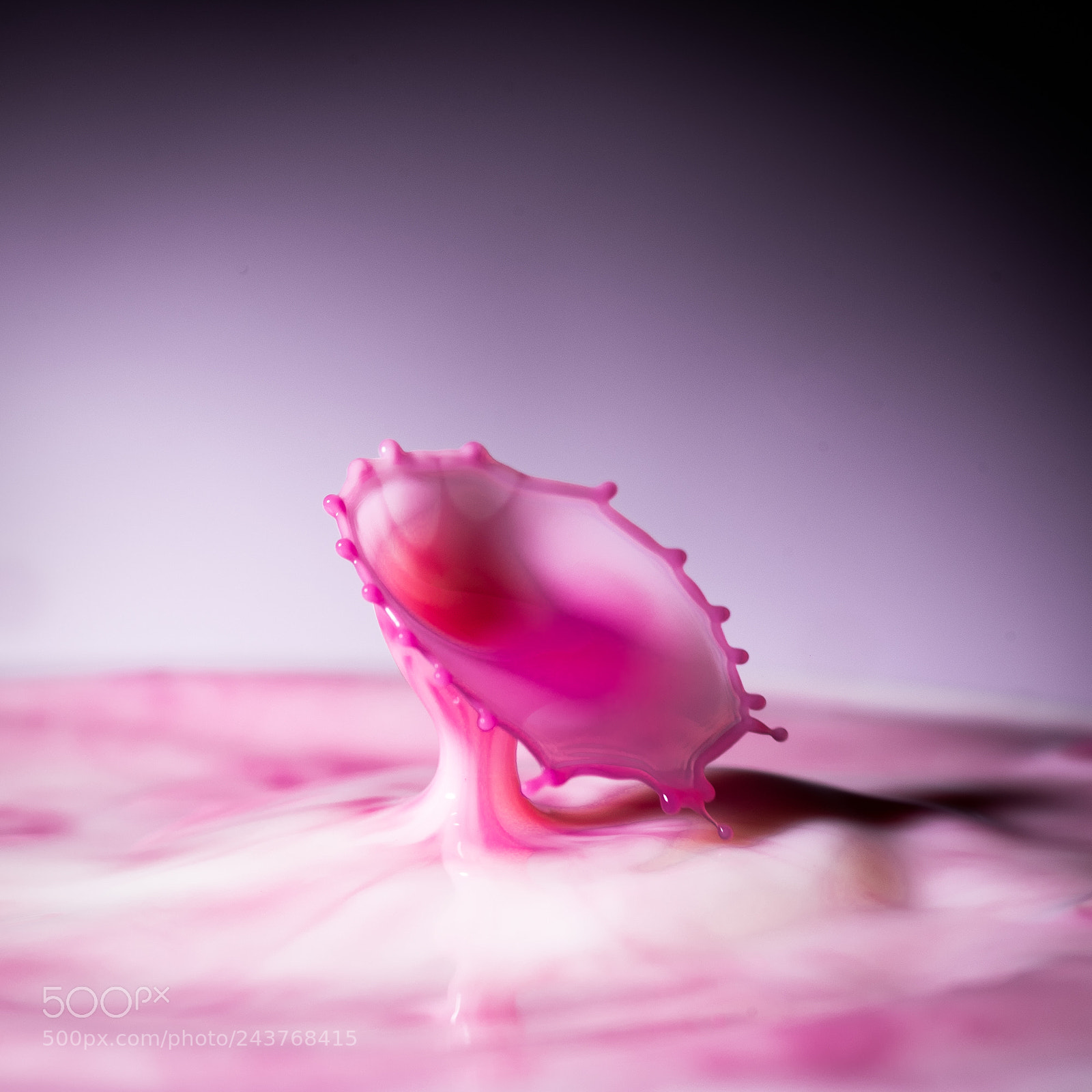 Nikon D750 sample photo. Milk splash photography