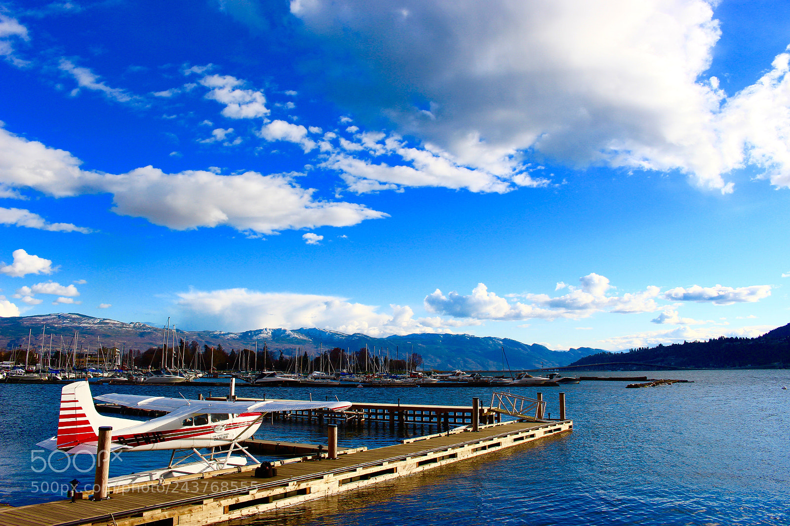 Canon EOS 700D (EOS Rebel T5i / EOS Kiss X7i) sample photo. Fly away photography