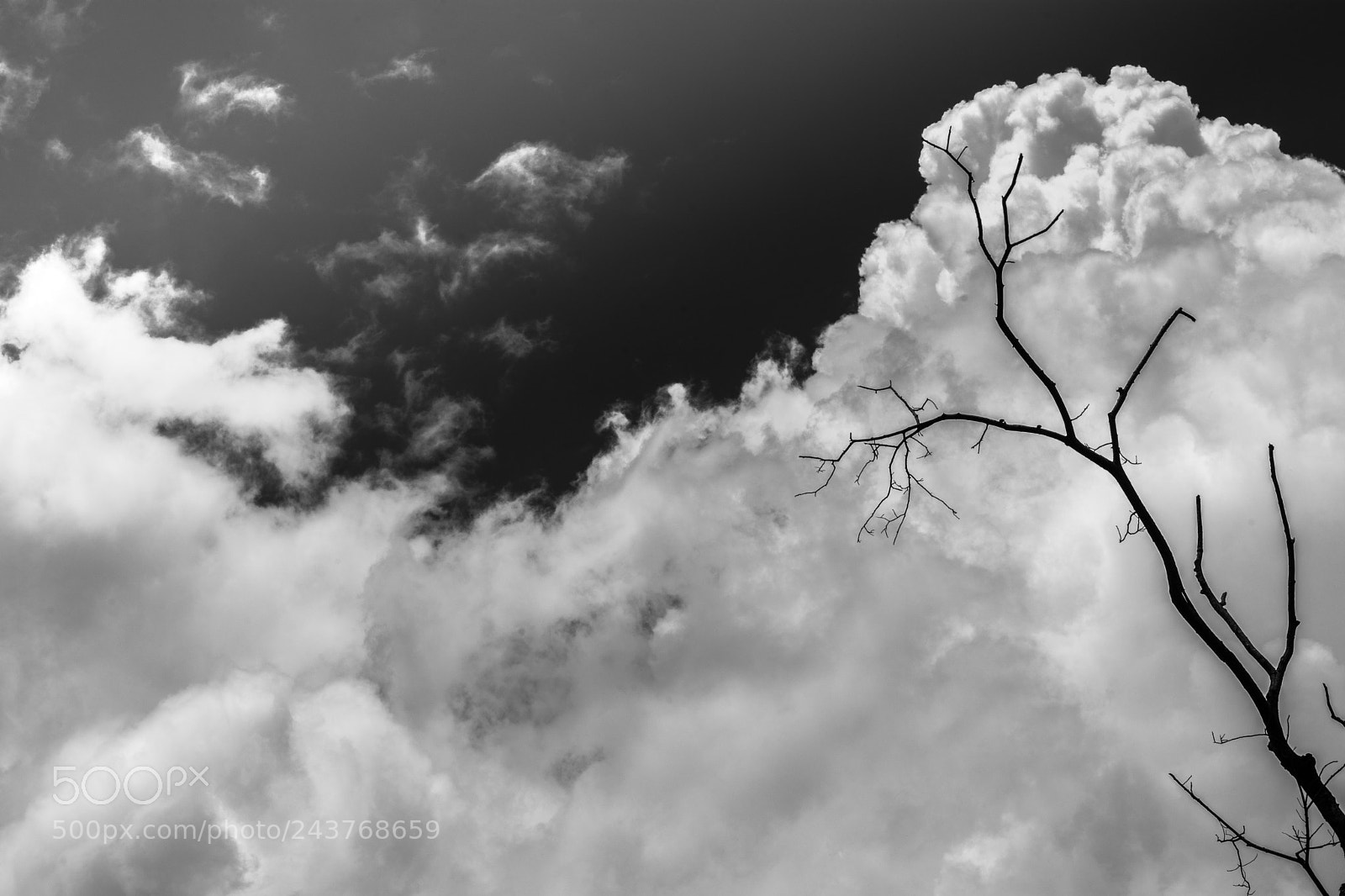 Nikon D7200 sample photo. Solitude photography