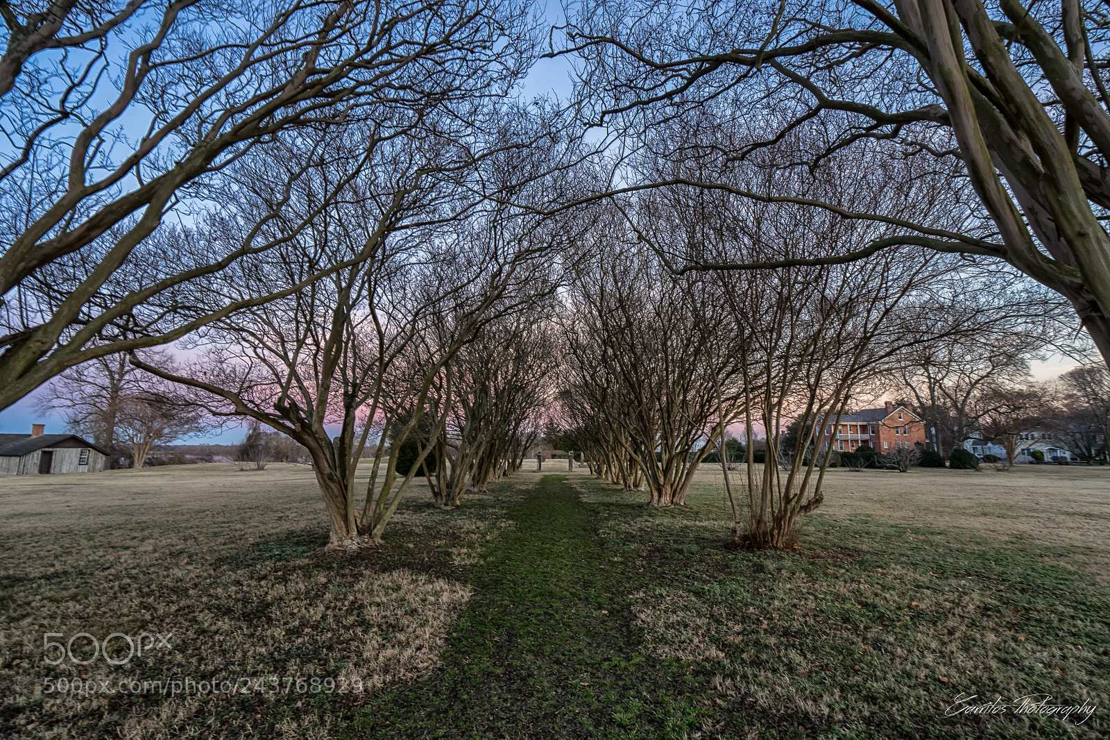 Sony a7 sample photo. Old carriage path photography