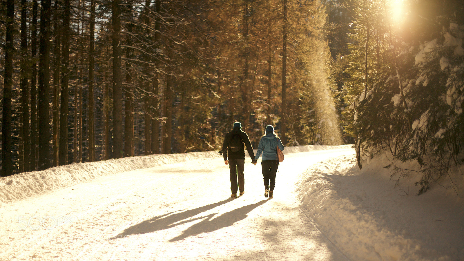Canon EOS 5D sample photo. Winter walk photography