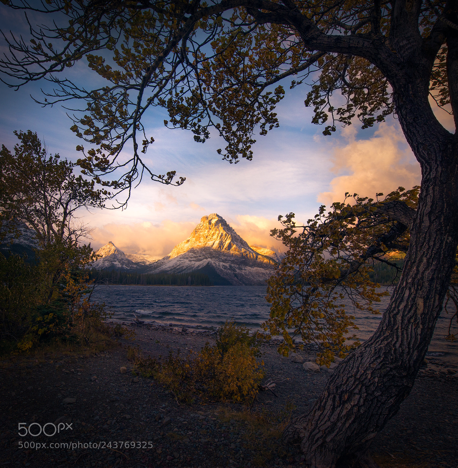 Nikon D810 sample photo. Fall circle photography