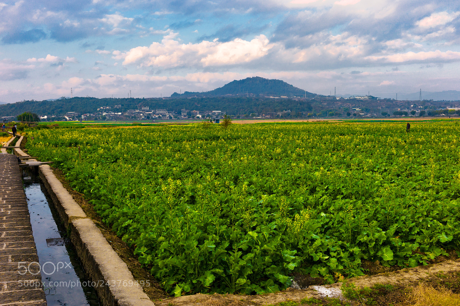 Leica M9 sample photo. 腾冲 和顺 photography