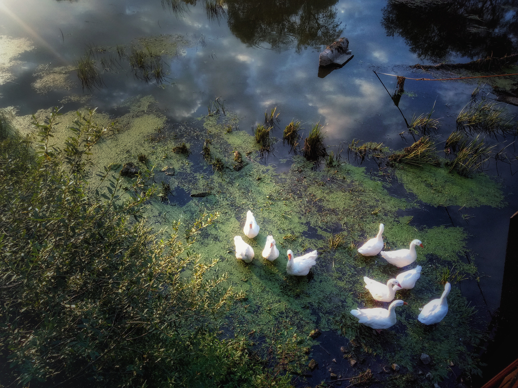 Meizu U20 sample photo