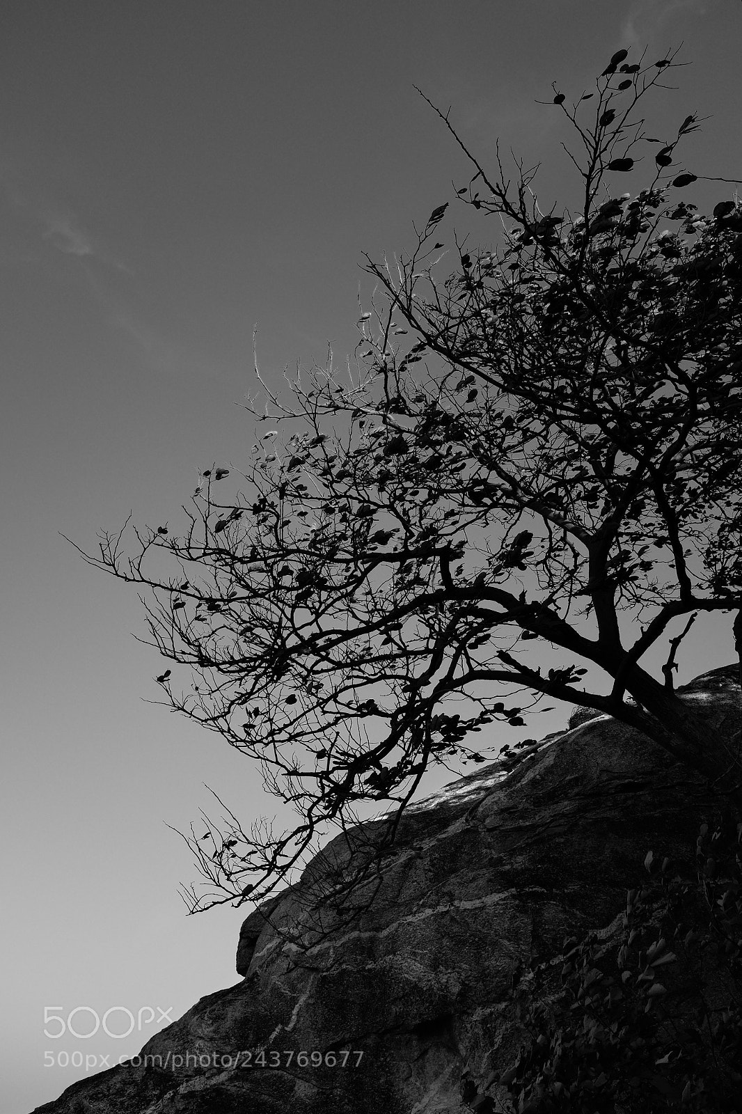 Fujifilm X100T sample photo. Hua hin 21-221217 photography