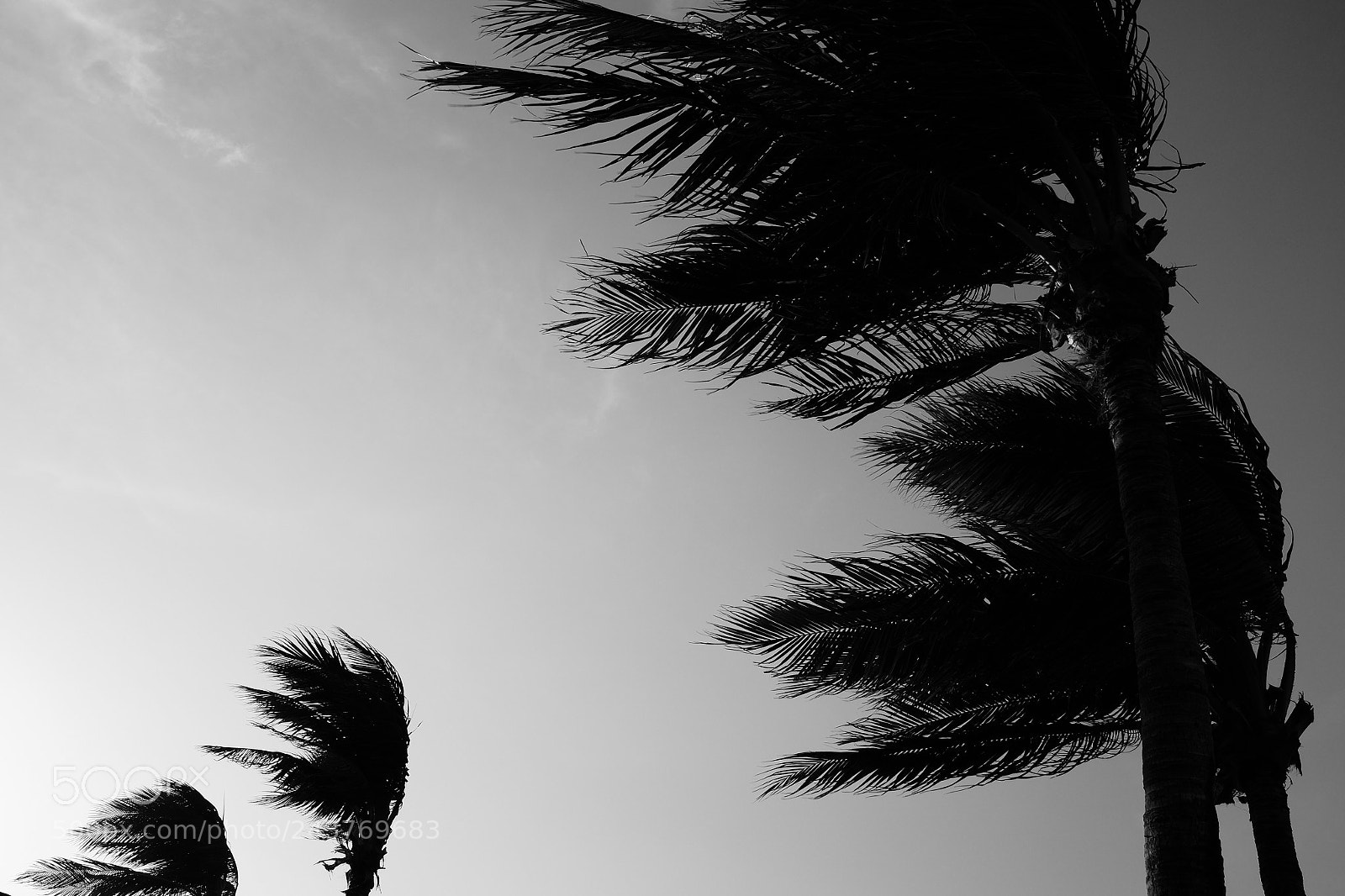 Fujifilm X100T sample photo. Hua hin 21-221217 photography