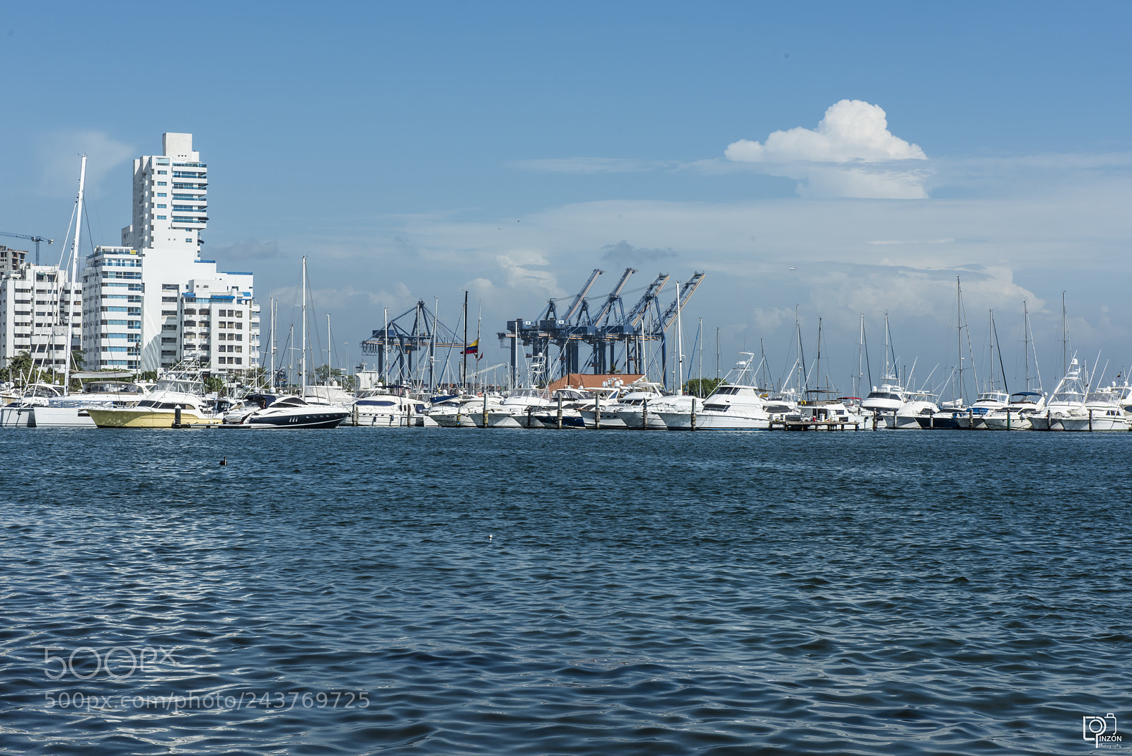 Nikon D810 sample photo. Untitled photography