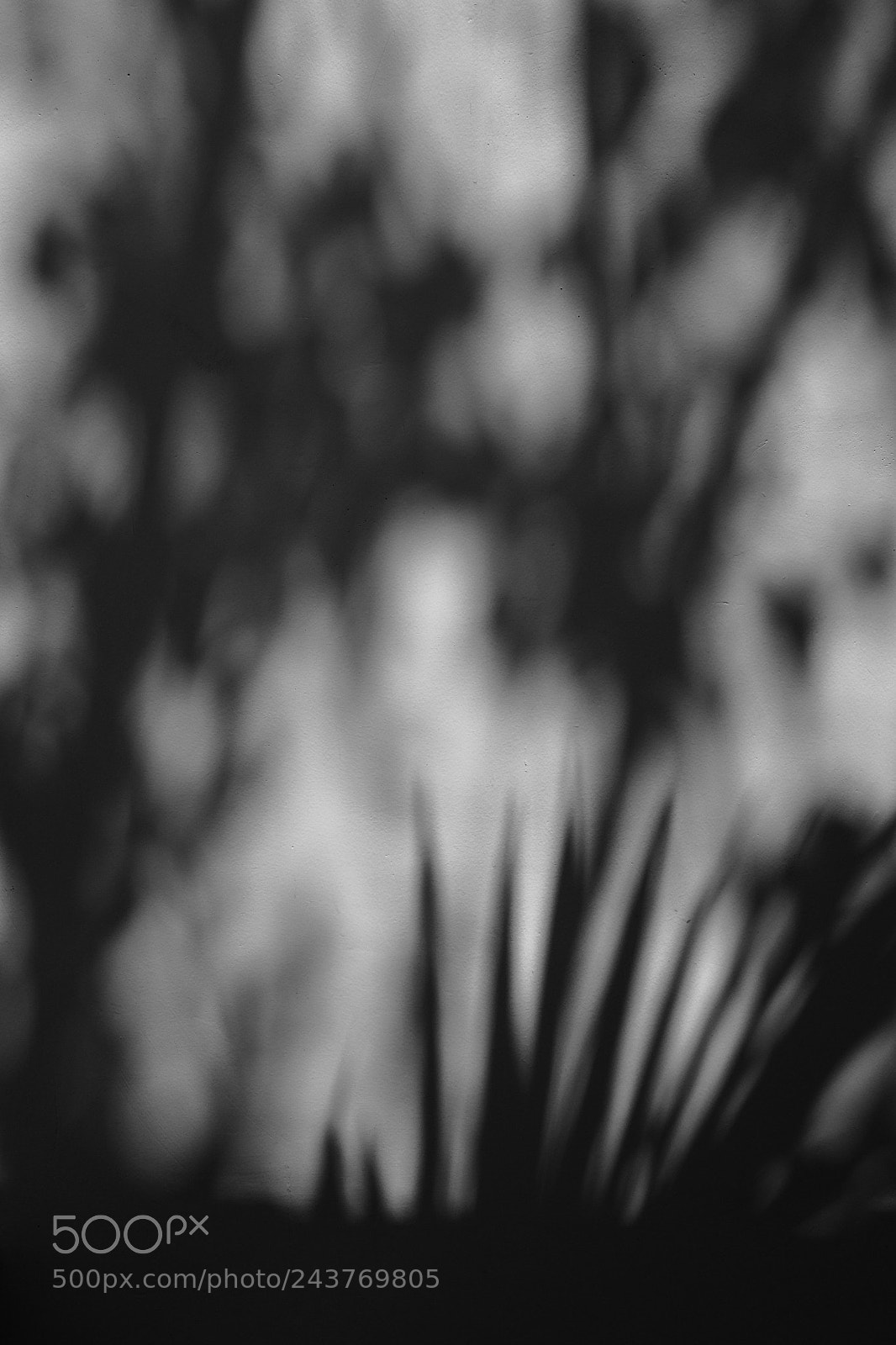 Fujifilm X100T sample photo. Hua hin 21-221217 photography