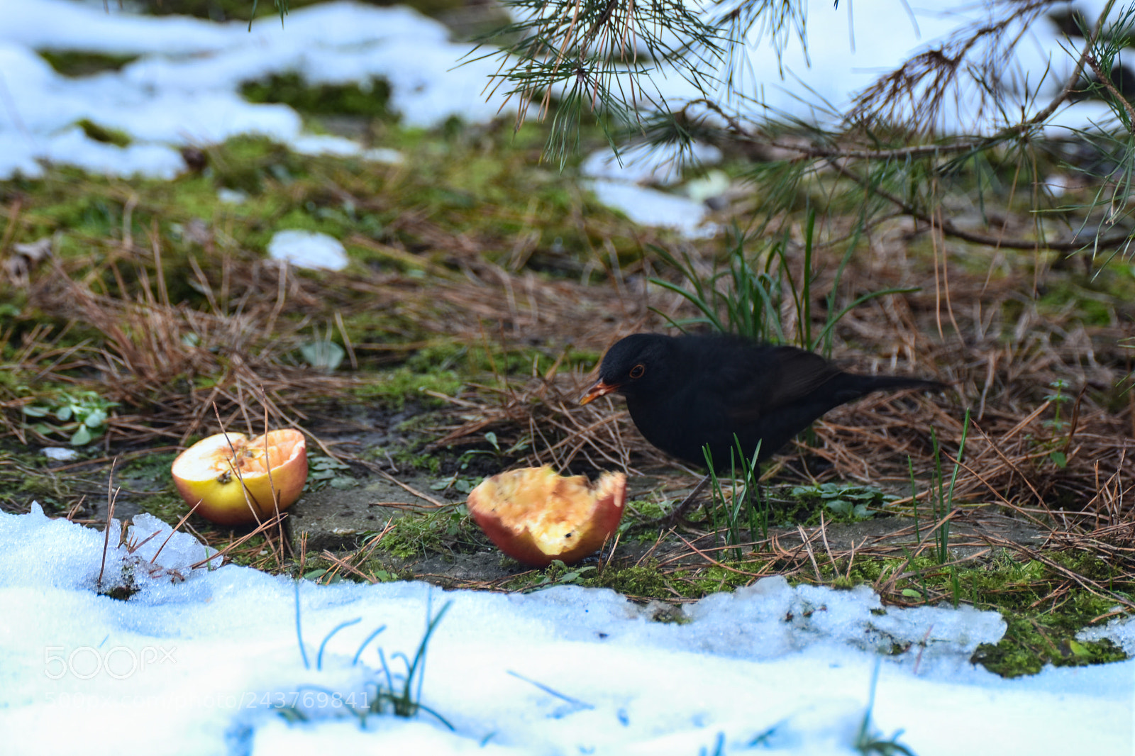 Nikon D7200 sample photo. Untitled photography