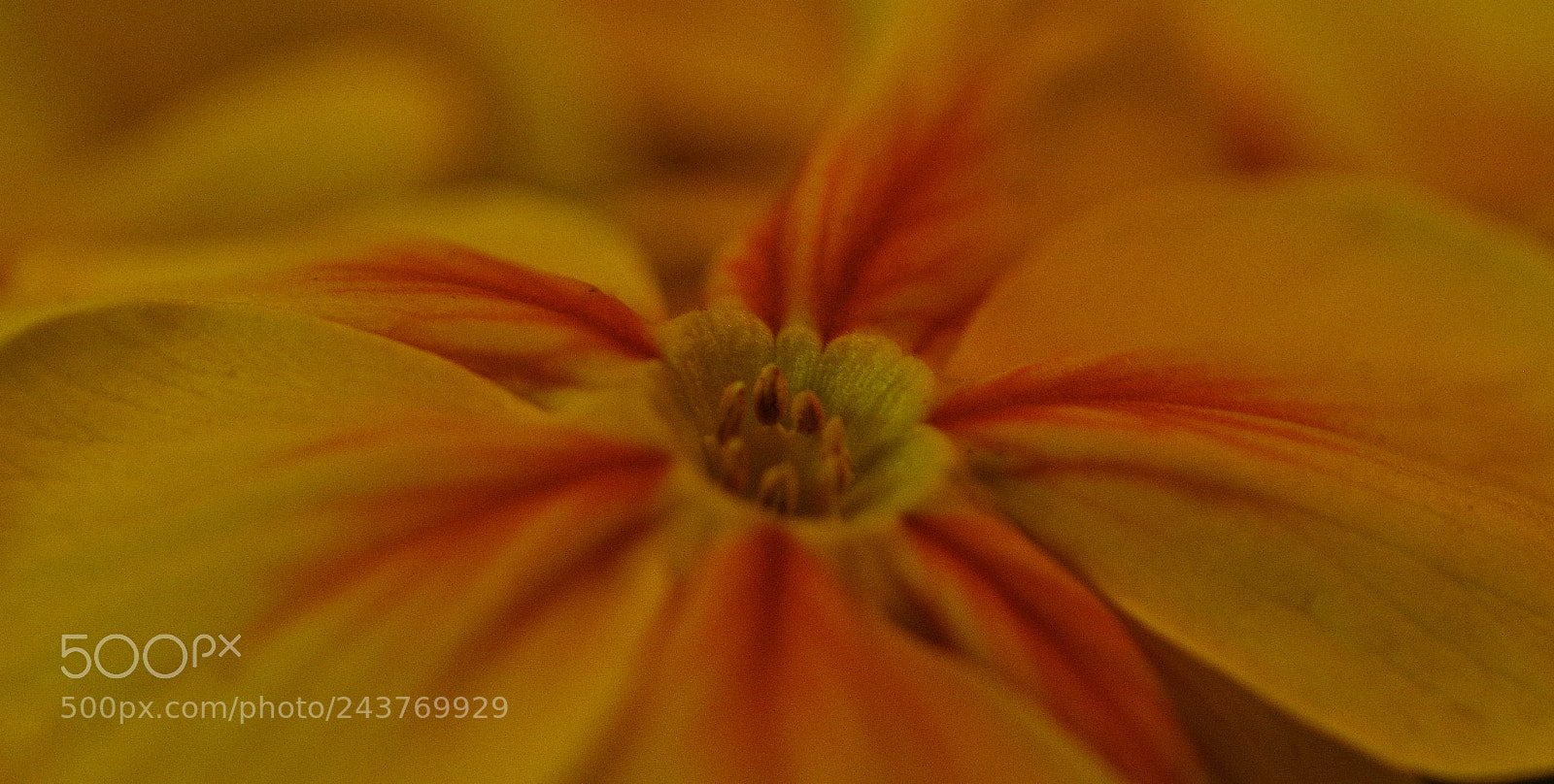 Pentax K-3 sample photo. ***... photography