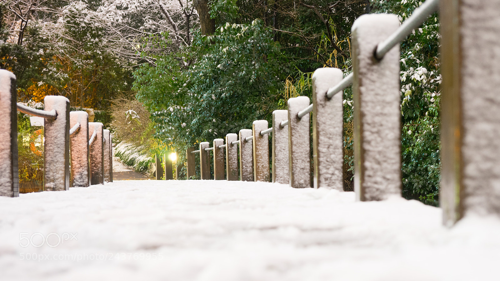 Sony a7 sample photo. Snow@shanghai #1 photography