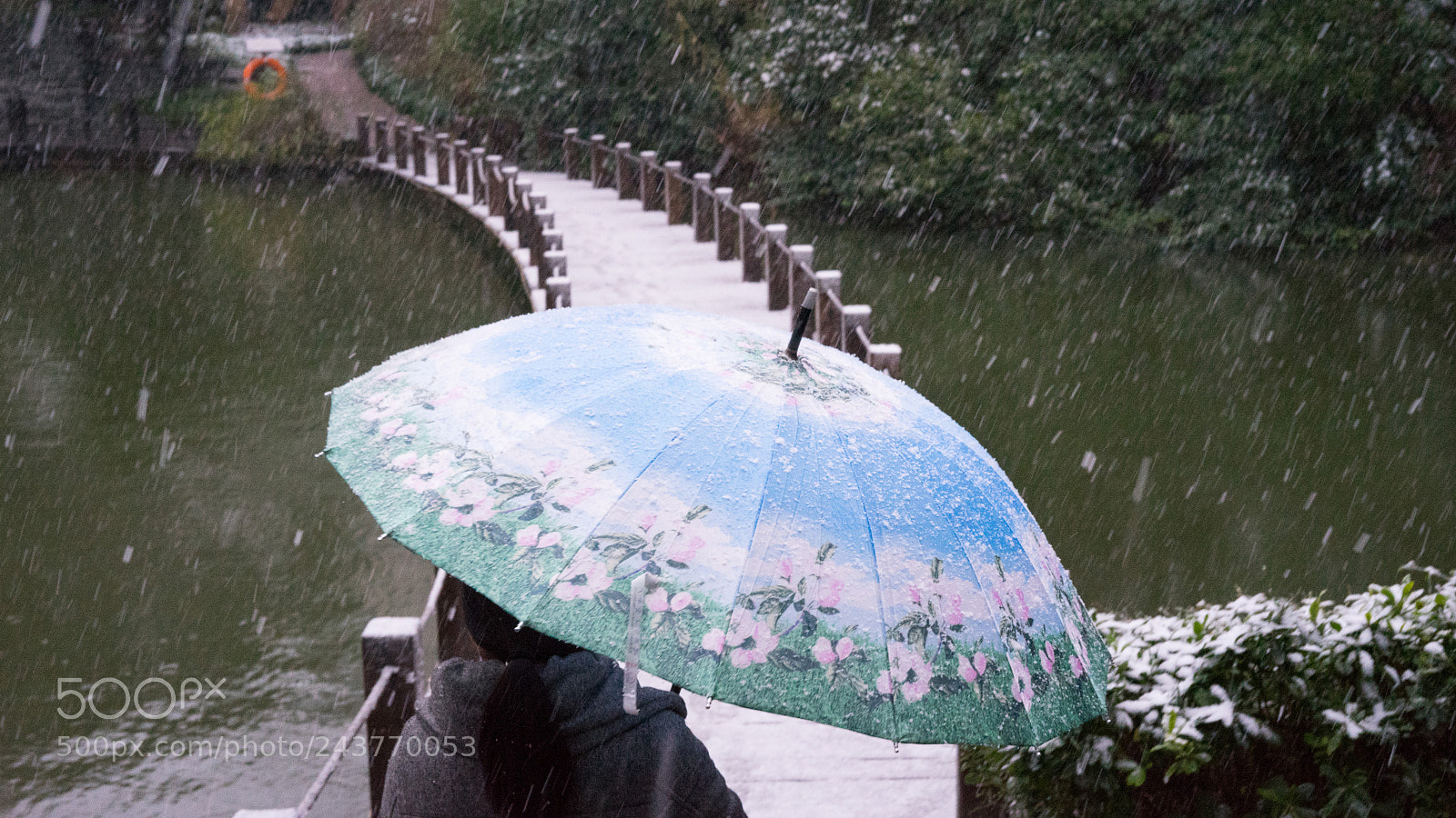 Sony a7 sample photo. Snow@shanghai #2 photography