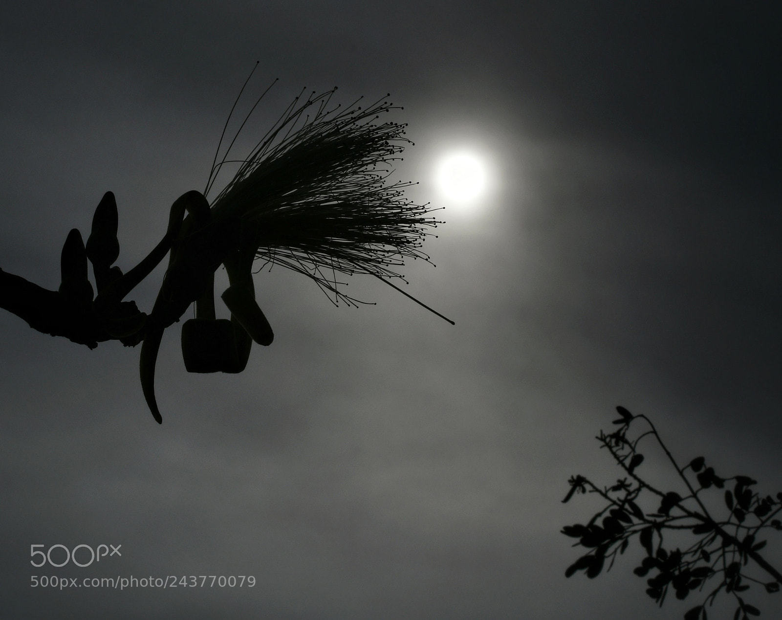 Nikon D7500 sample photo. El claroscuro de la photography