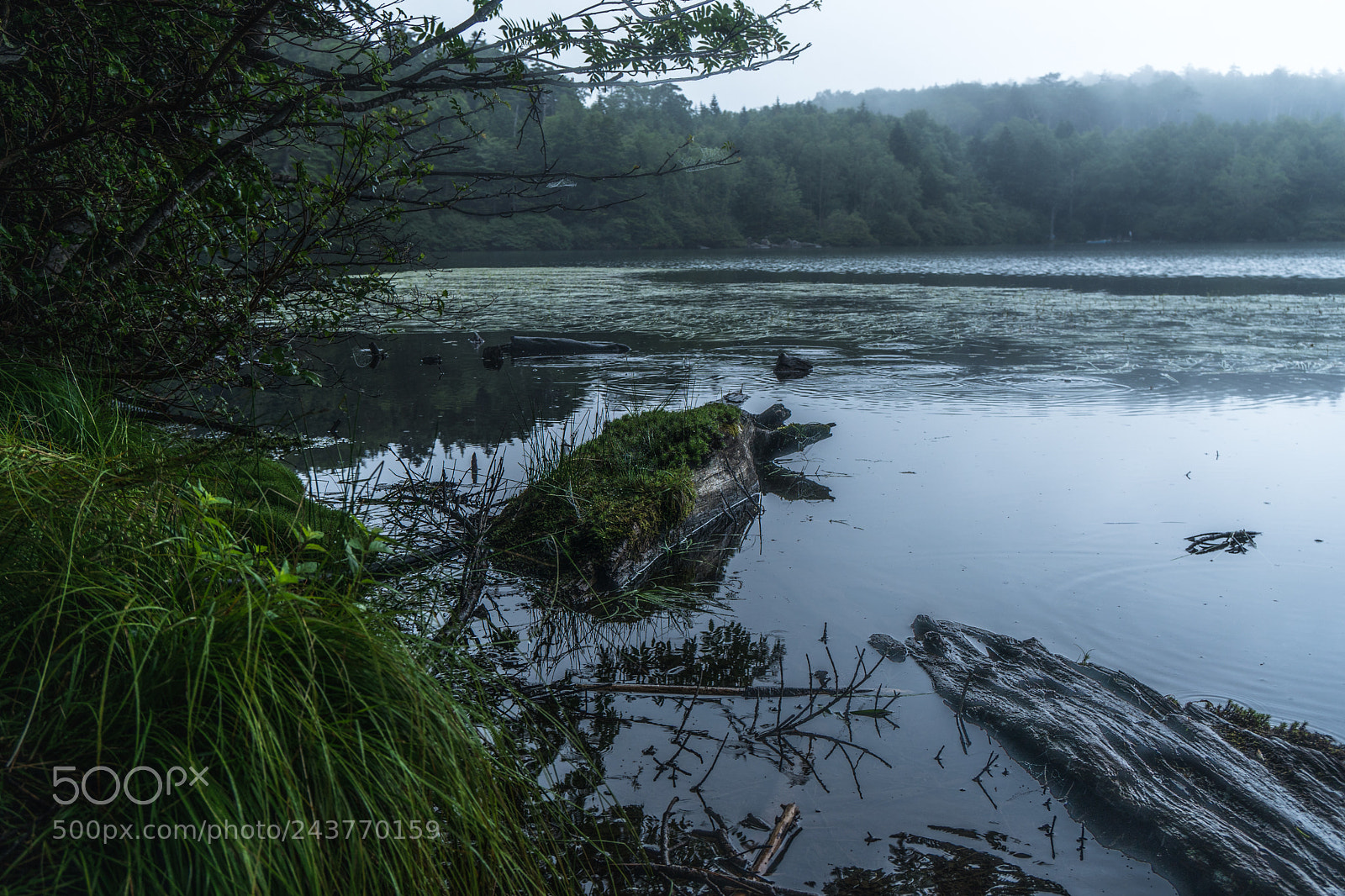 Sony a6500 sample photo. Foggy lake photography