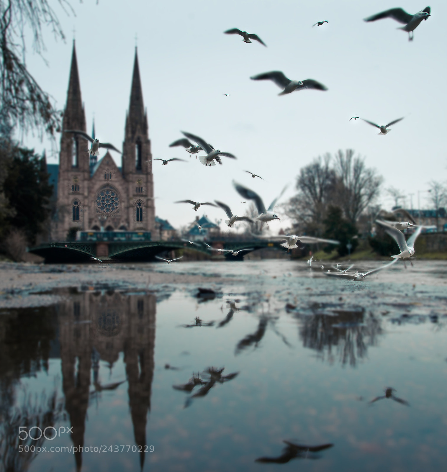 Nikon D5 sample photo. Blue winter day photography