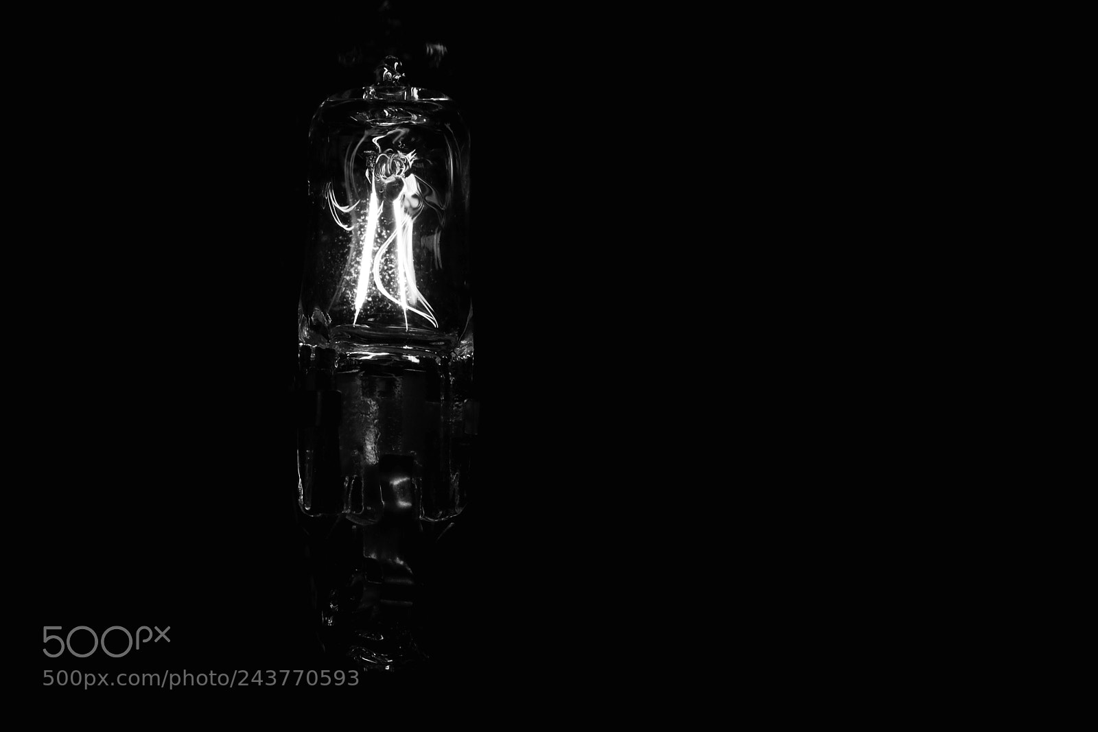 Canon EOS 760D (EOS Rebel T6s / EOS 8000D) sample photo. A light bulb photography