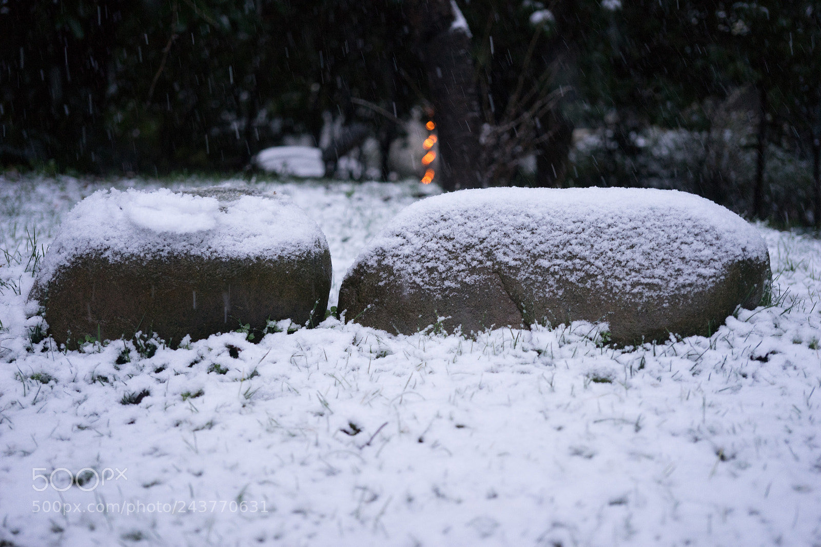 Sony a7 sample photo. Snow@shanghai #3 photography