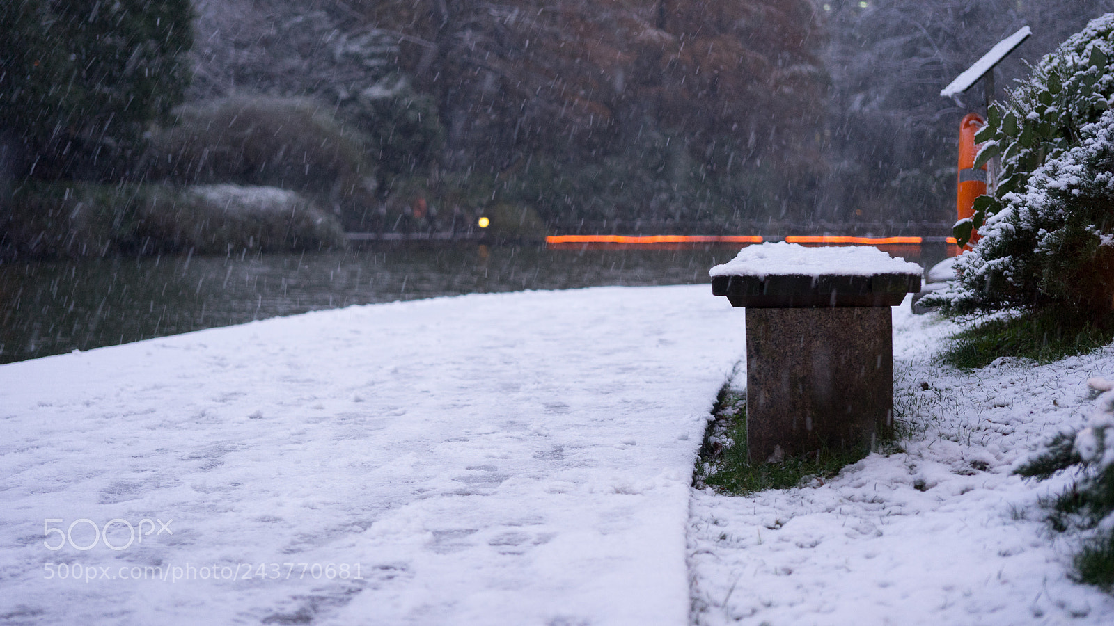 Sony a7 sample photo. Snow@shanghai #4 photography