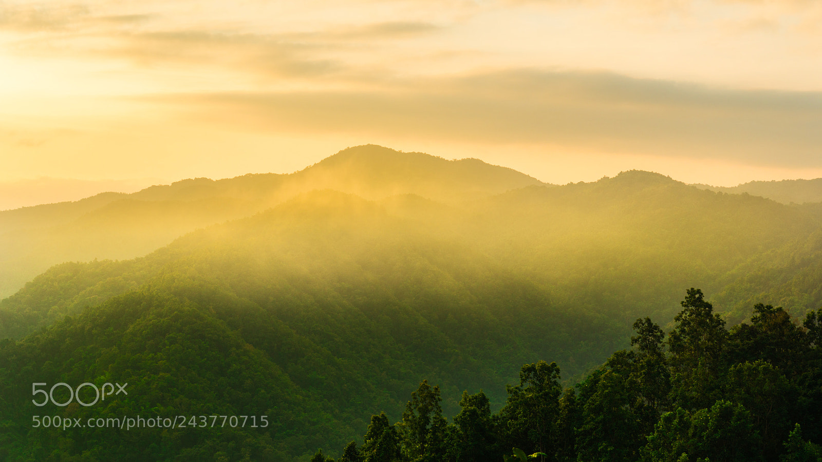 Nikon D610 sample photo. Cho_8478-1.jpg photography