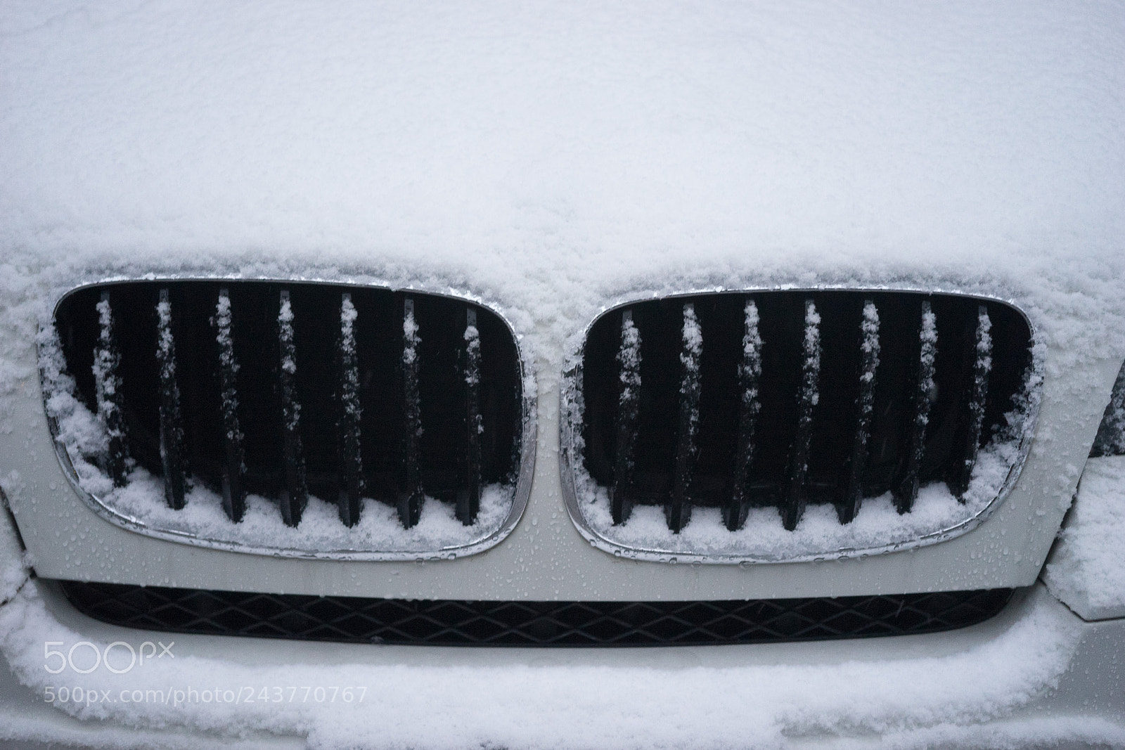 Sony a7 sample photo. Snow@shanghai #5 photography