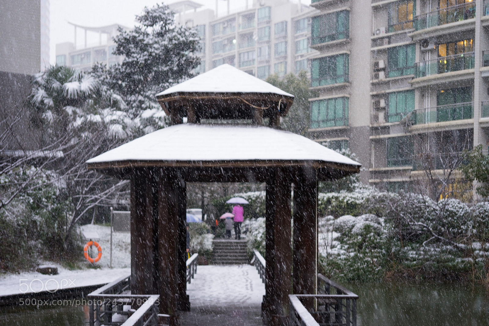 Sony a7 sample photo. Snow@shanghai #6 photography