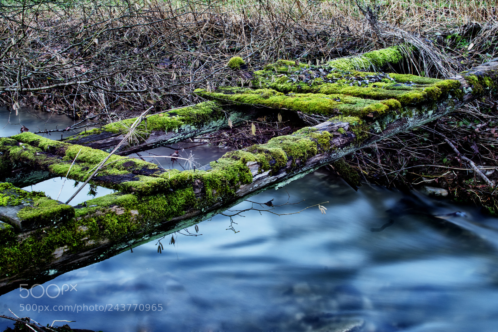 Nikon D7100 sample photo. The water flows photography