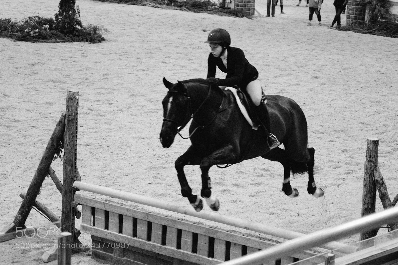 Fujifilm X-T2 sample photo. World equestrian center photography