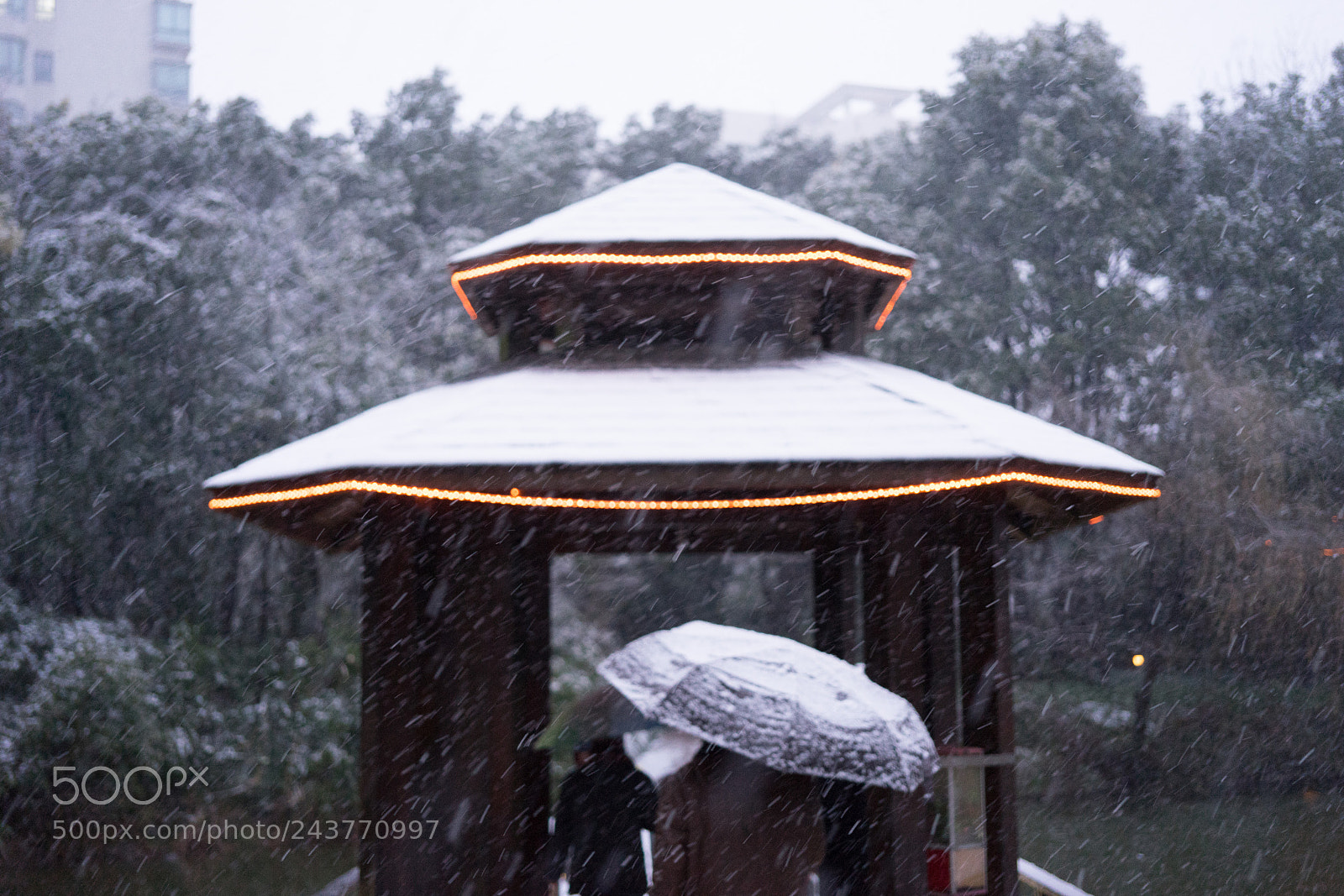 Sony a7 sample photo. Snow@shanghai #7 photography