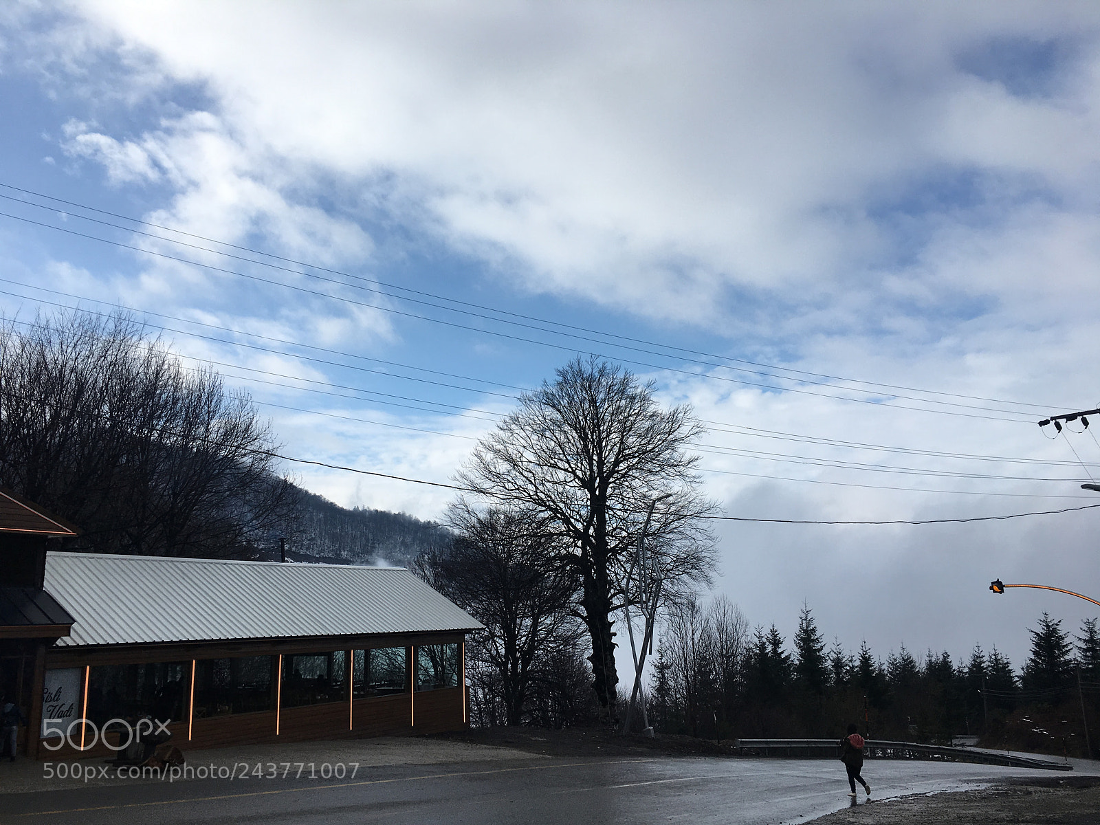 Apple iPhone 6s sample photo. Untitled photography