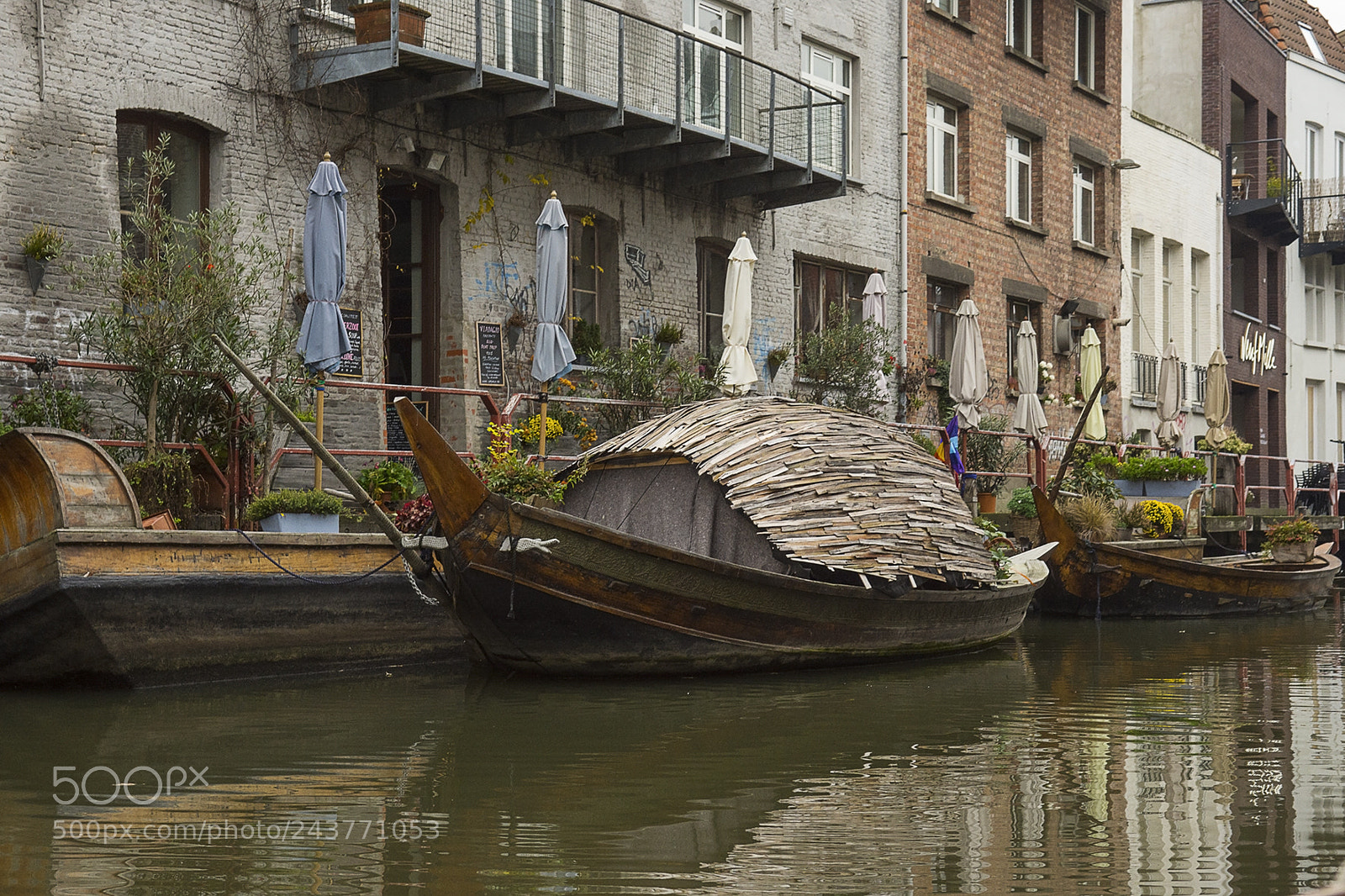 Nikon D7200 sample photo. Barco photography