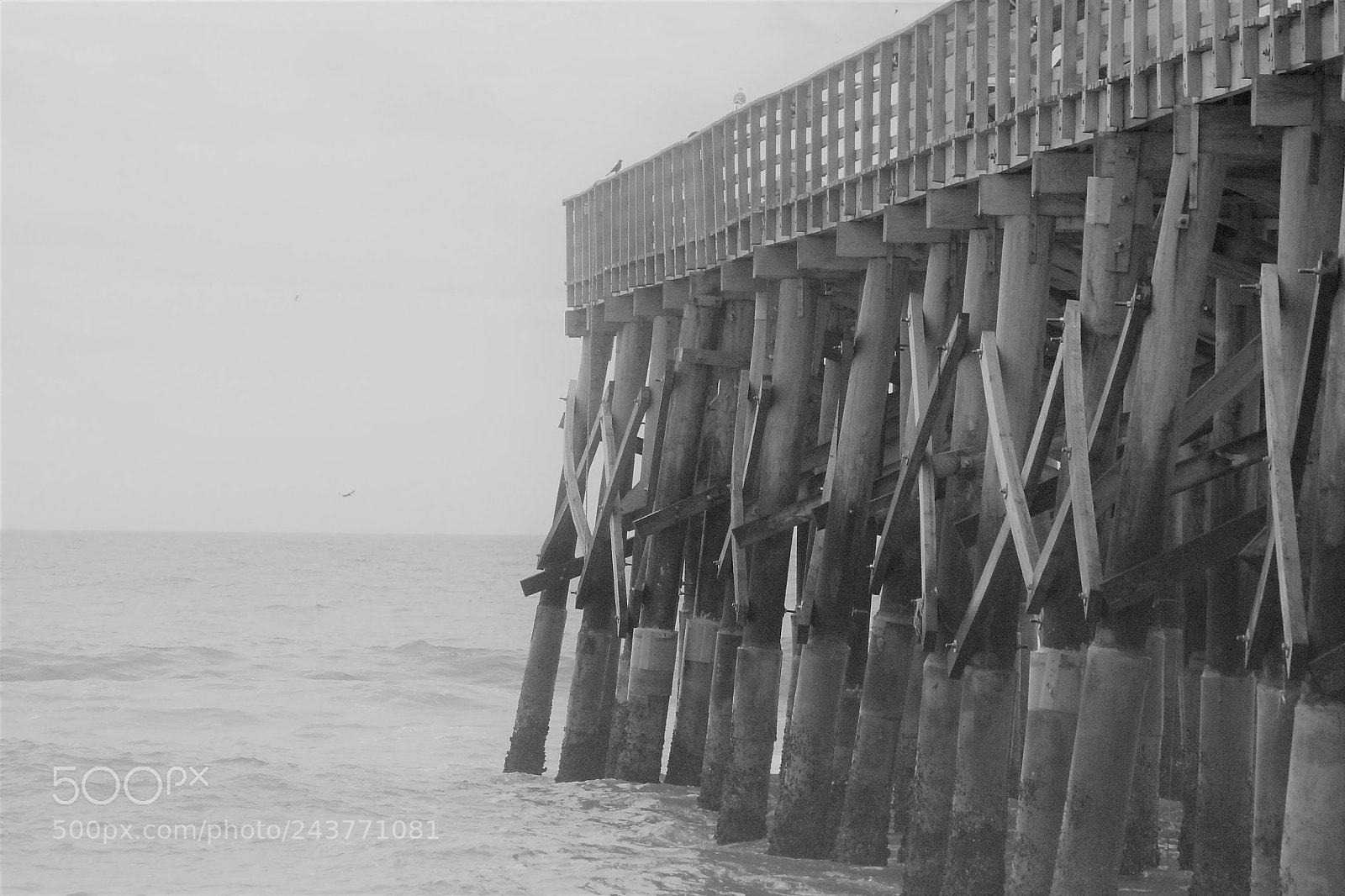 Canon EOS 1100D (EOS Rebel T3 / EOS Kiss X50) sample photo. Flagler beach pier photography