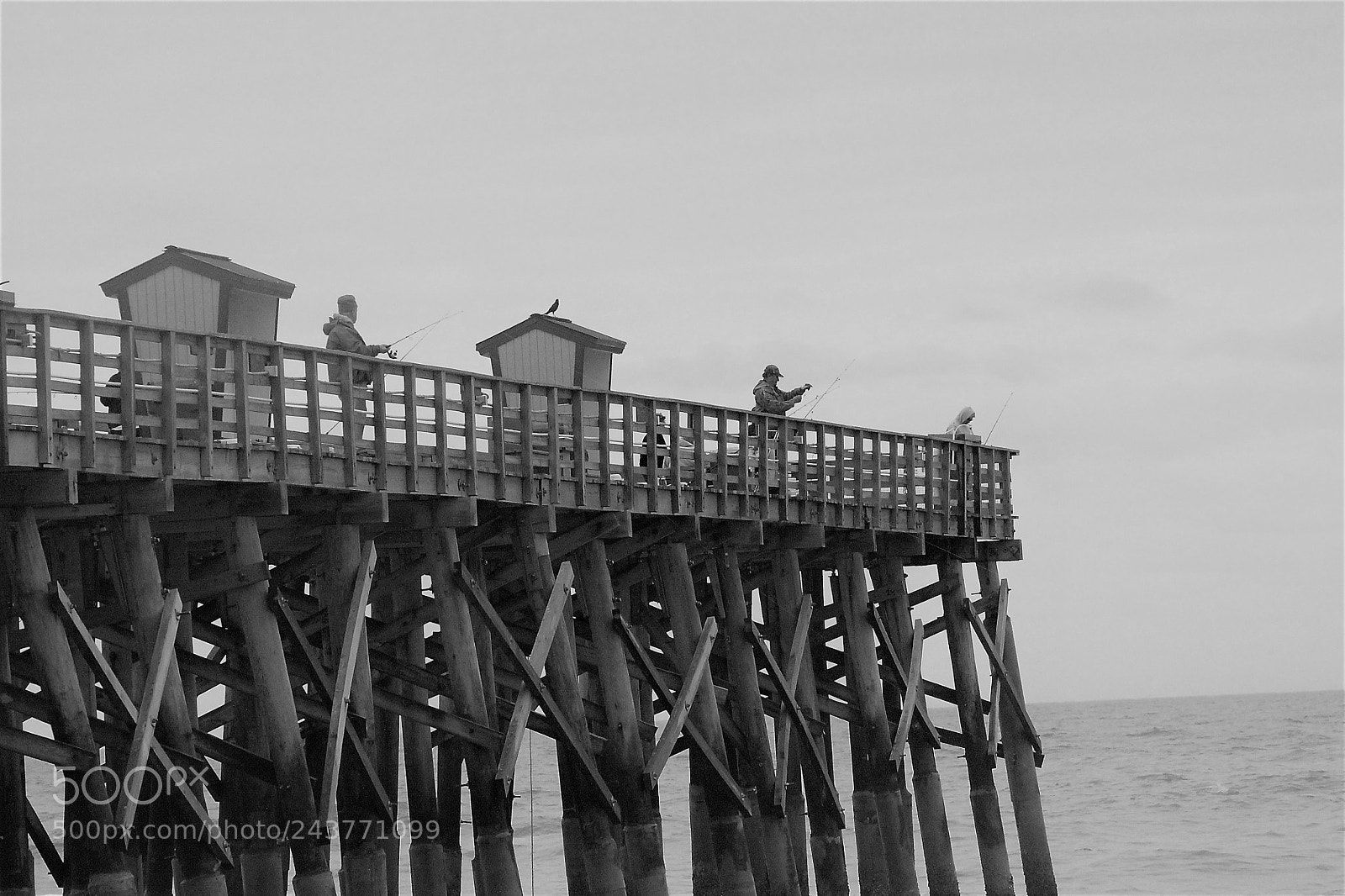 Canon EOS 1100D (EOS Rebel T3 / EOS Kiss X50) sample photo. Flagler beach pier 3 photography