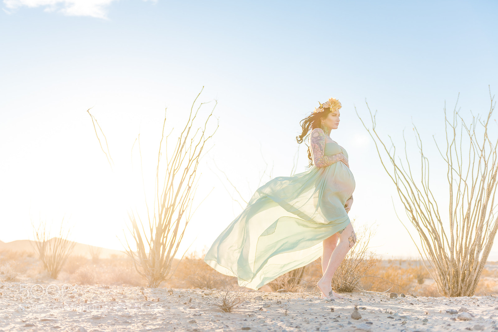 Nikon D810 sample photo. Desert maternity photo session photography