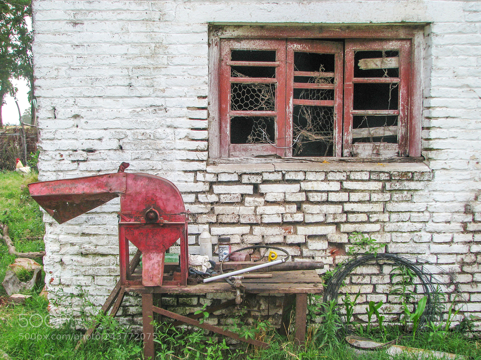 Canon POWERSHOT S5 IS sample photo. Corn grinder moledora de photography