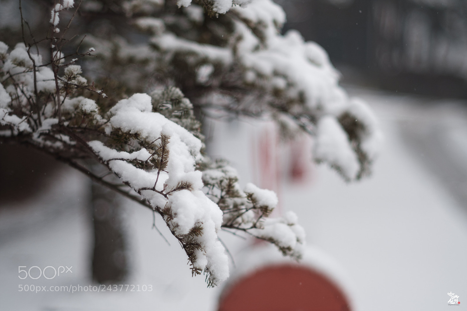 Fujifilm X-T2 sample photo. One winter day.... photography