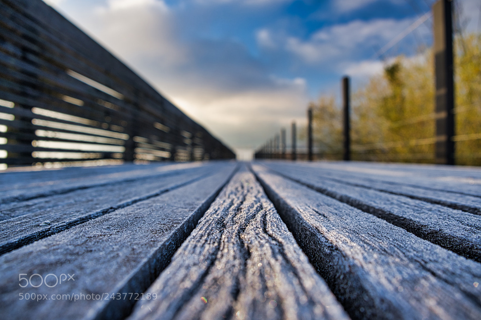 Fujifilm X-T2 sample photo. Steg rapperswil photography