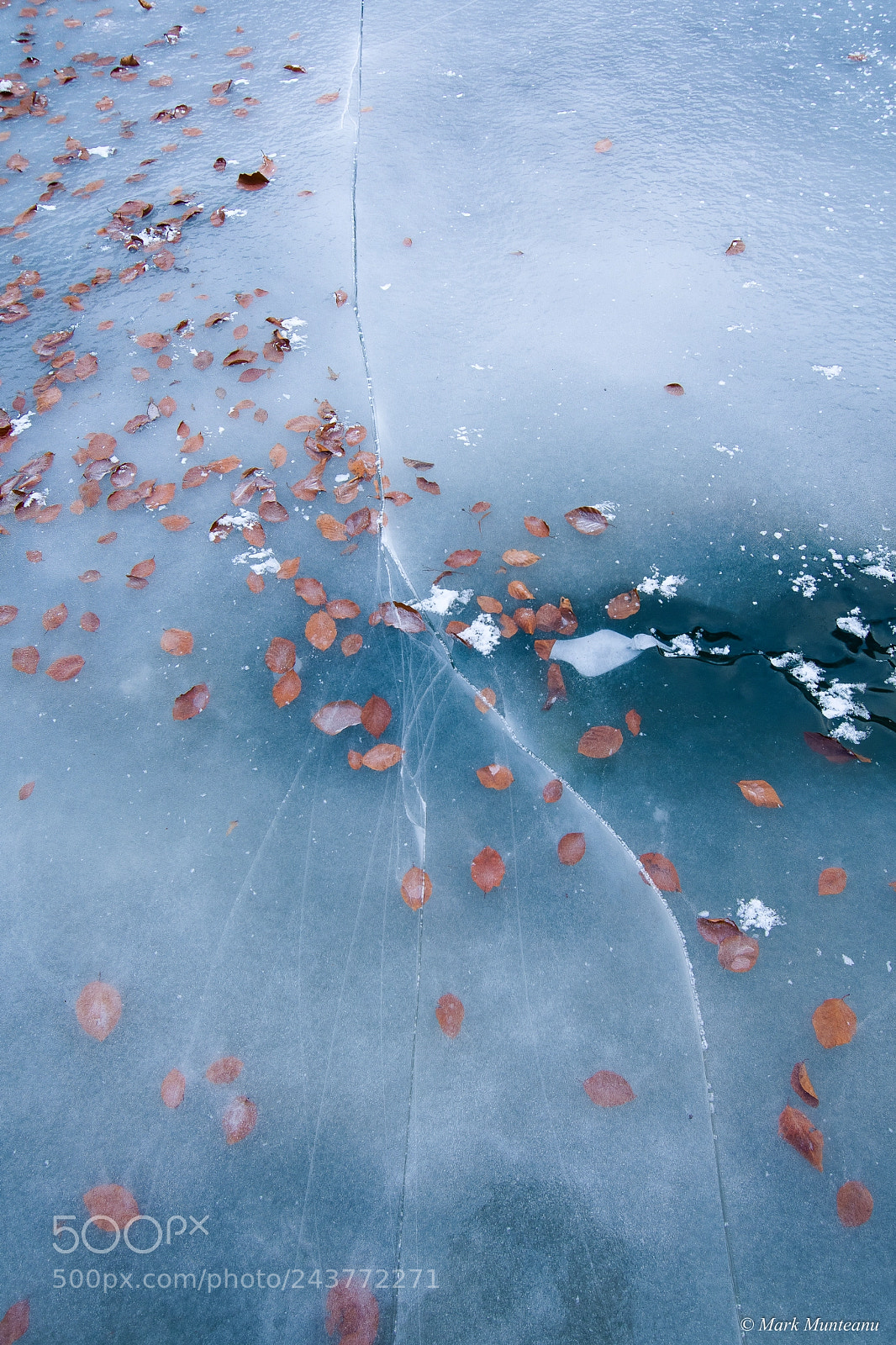 Nikon D500 sample photo. Entrapment photography