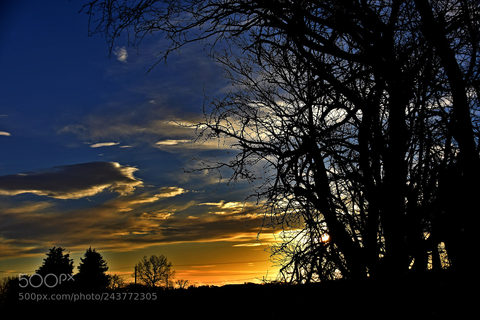 Nikon D3400 sample photo. Trees silhouetted at sunset photography