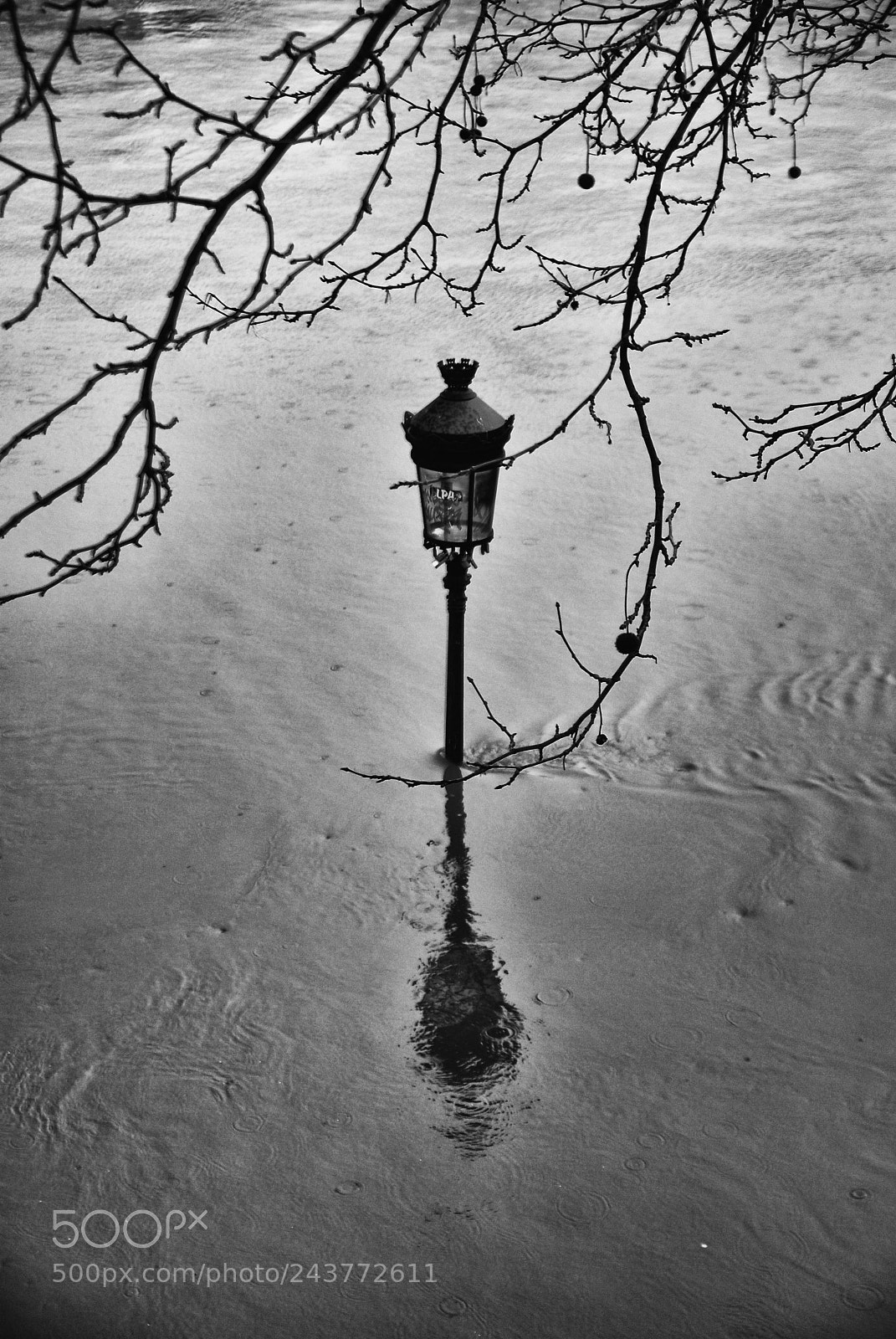 Nikon D200 sample photo. Flood paris january 2018 photography