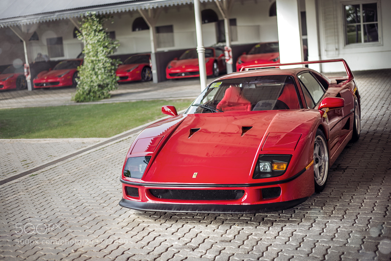 Nikon D800 sample photo. Ferrari owners club photography