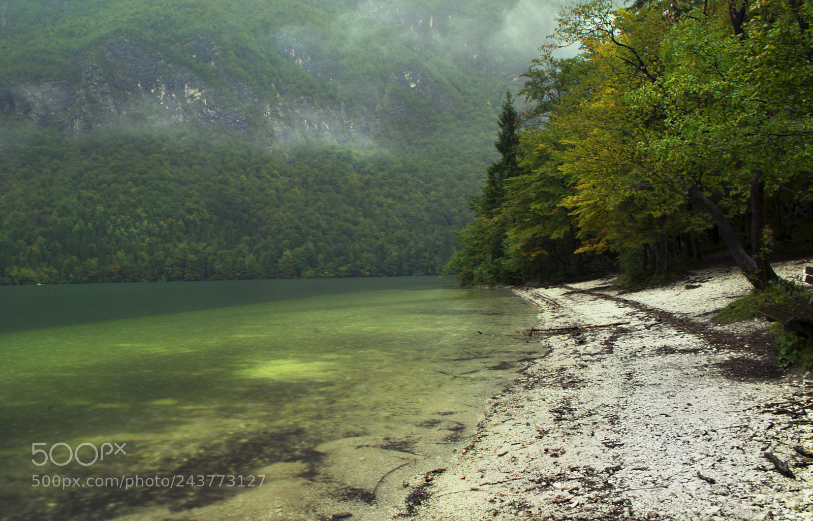 Nikon D3100 sample photo. Bohinj photography