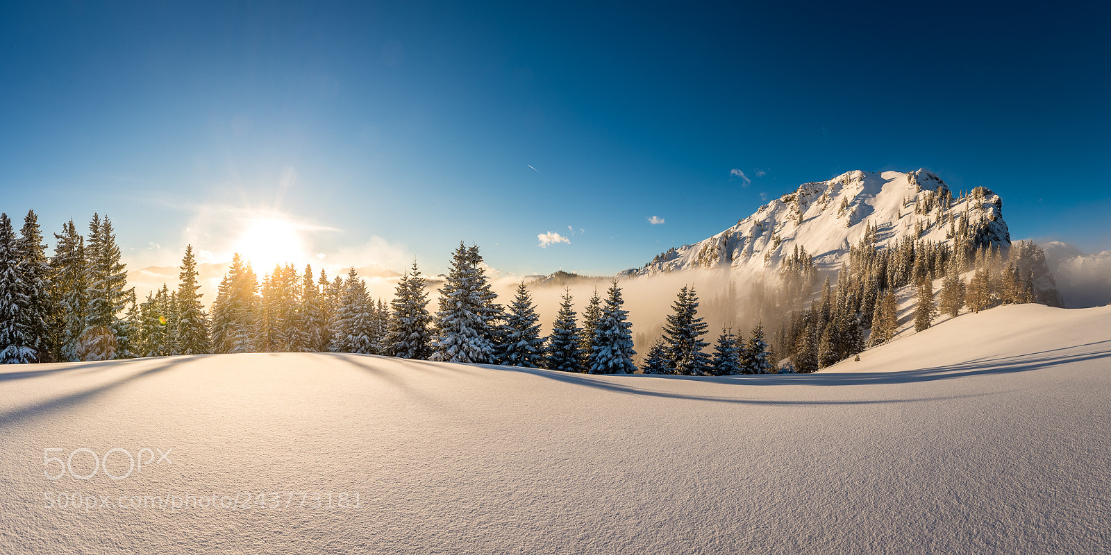 Nikon D810 sample photo. Buchbergkogel photography