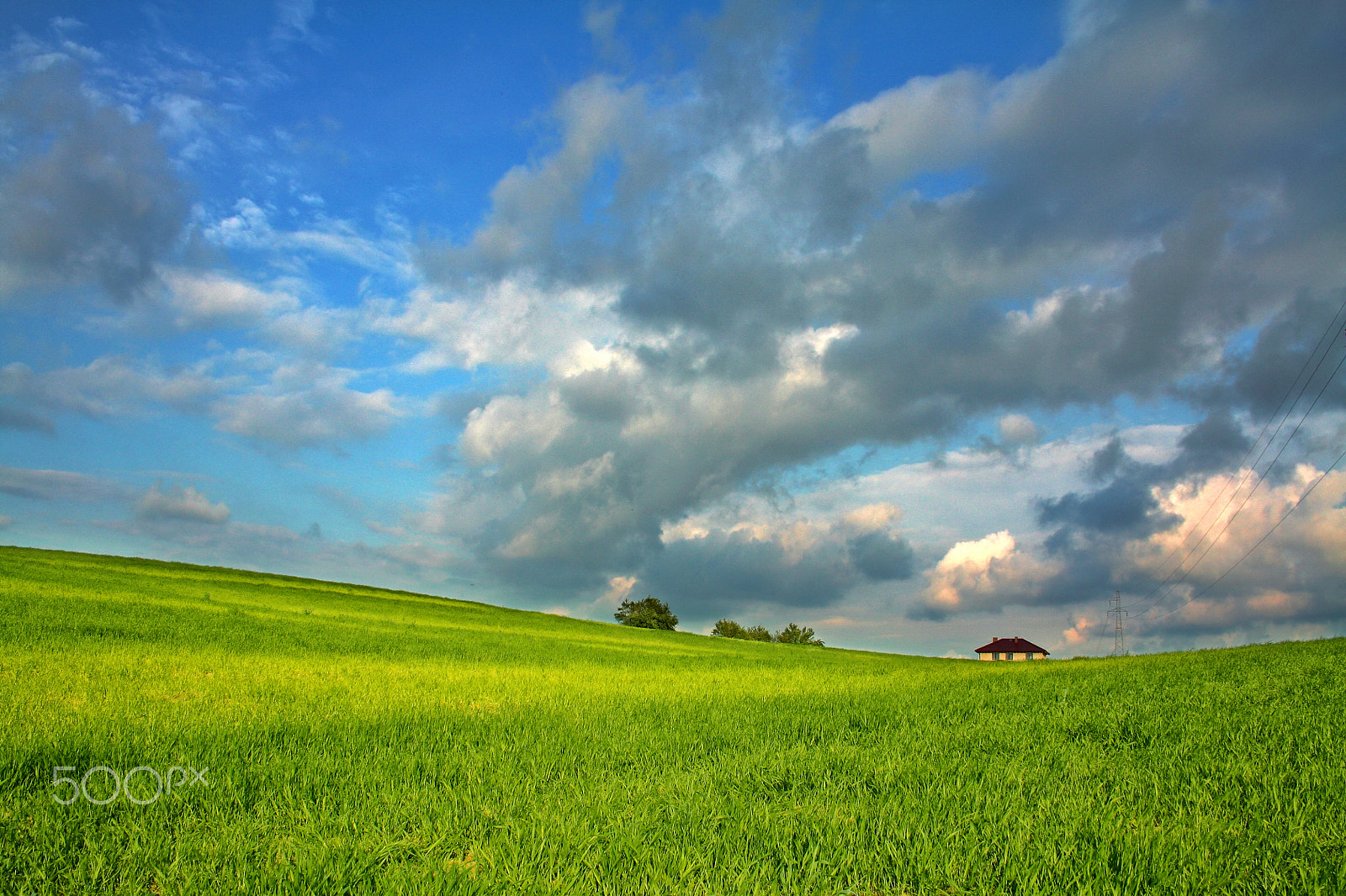 Canon EF-S 18-55mm F3.5-5.6 II sample photo. Meadow photography