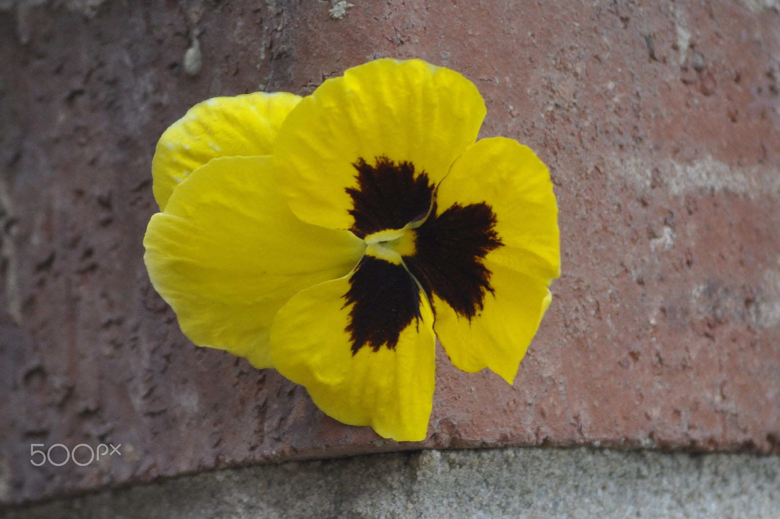 Nikon D90 sample photo. Csc photography