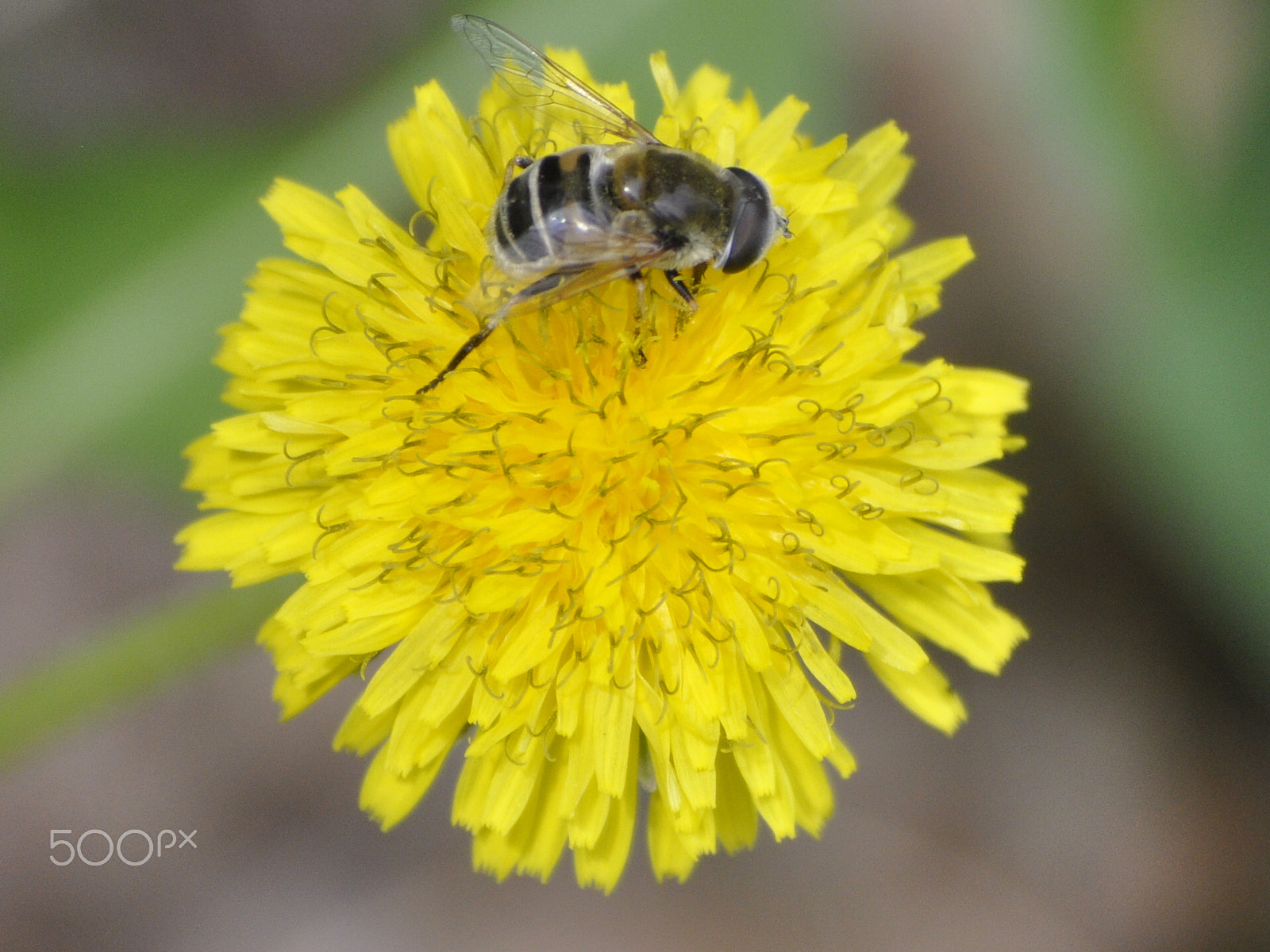 Nikon D90 sample photo. Csc photography