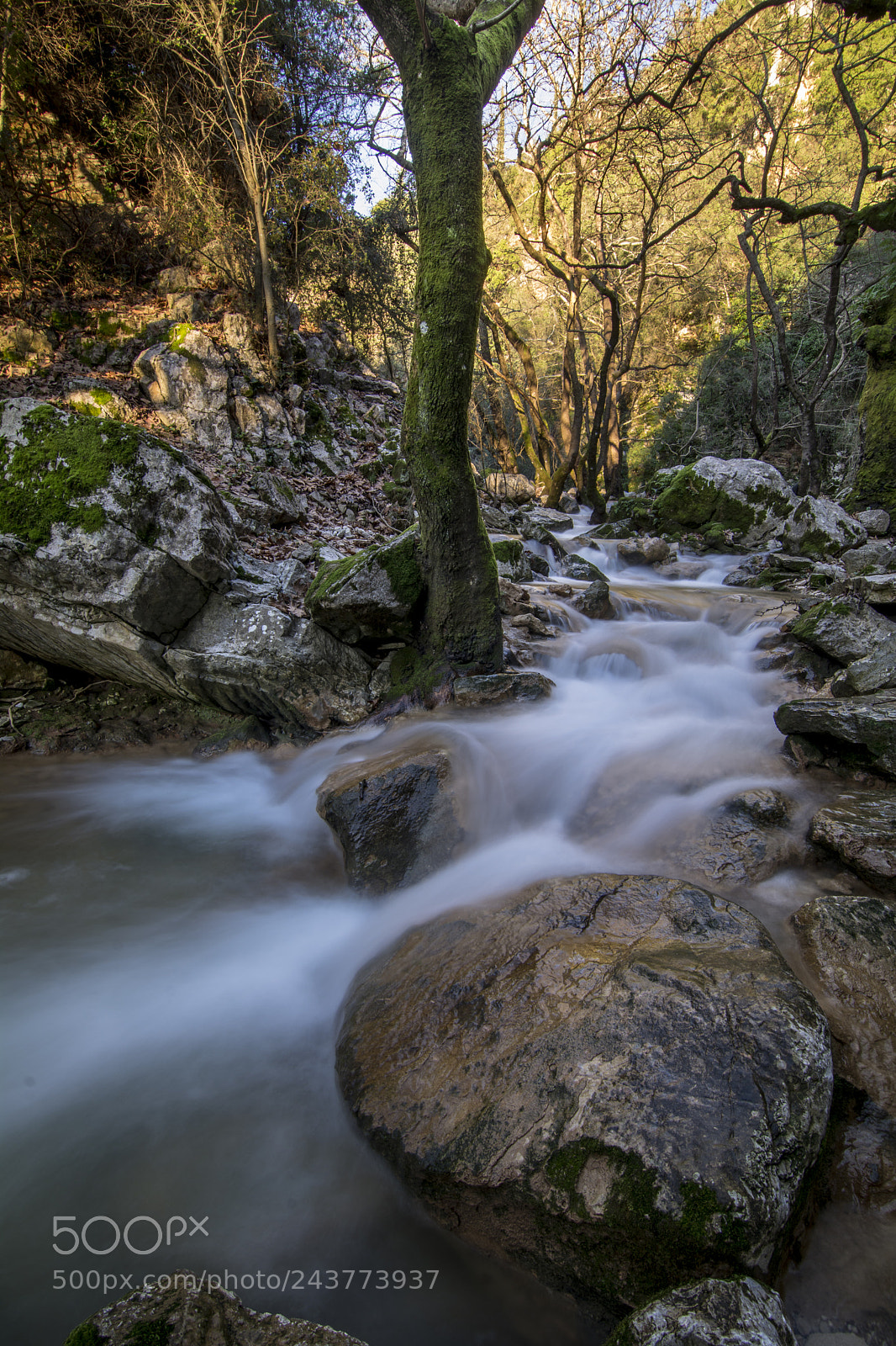 Nikon D7100 sample photo. River mirtia photography