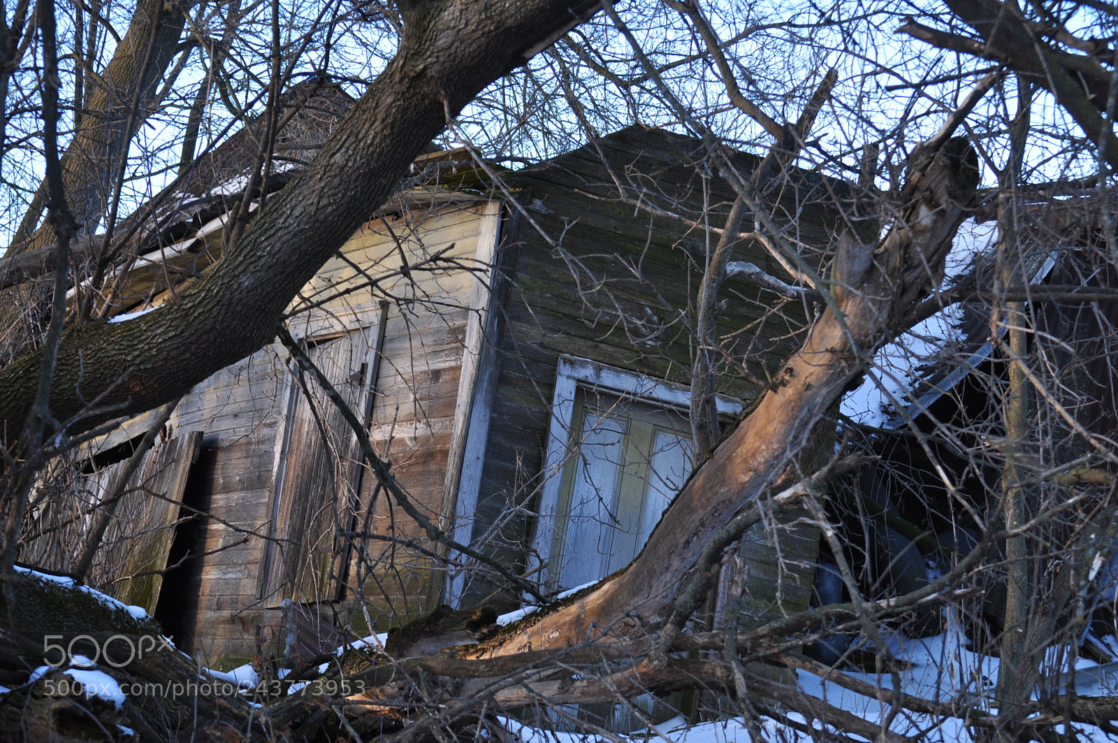 Nikon D5000 sample photo. Abandoned photography